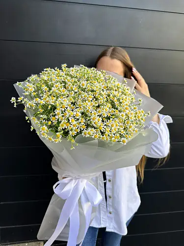 На фото №2 Матрикария в дизайнерской упаковке