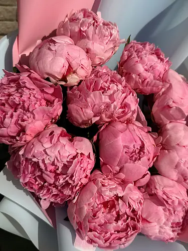 На фото №3 Букет из 11 ароматных пионов 