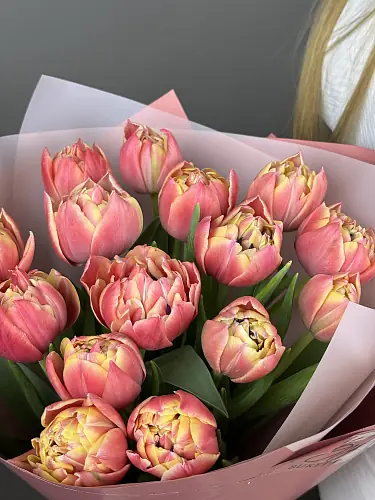 На фото №2 15 Пионовидных Тюльпанов Колумбус