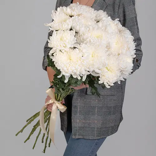 Кремовые Хризантемы под ленту 