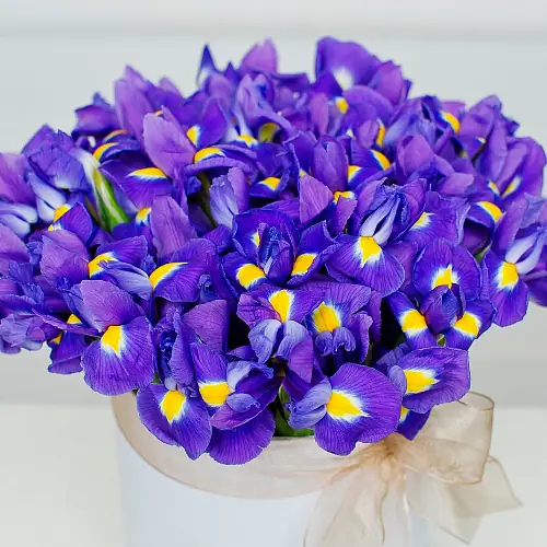 На фото №3 Шляпная коробка "51 ирис"