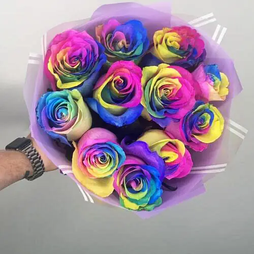 11 радужных роз 