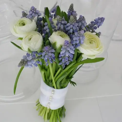 Букет невесты из Мускари и Ранункулюсов 