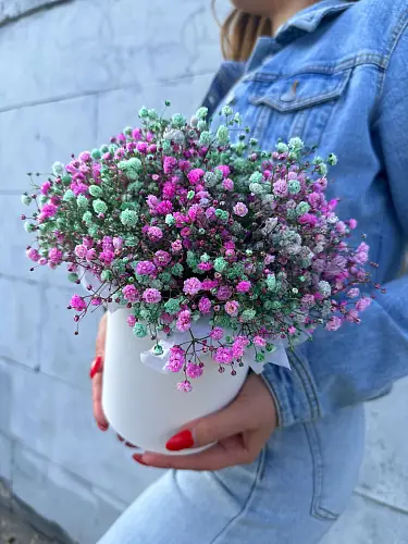 На фото №2 Коробка с цветной гипсофилой