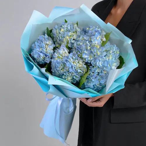 Буке из 7 Голубых Гортензий