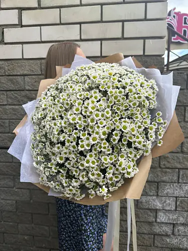 На фото №2 Сантини в крафте 