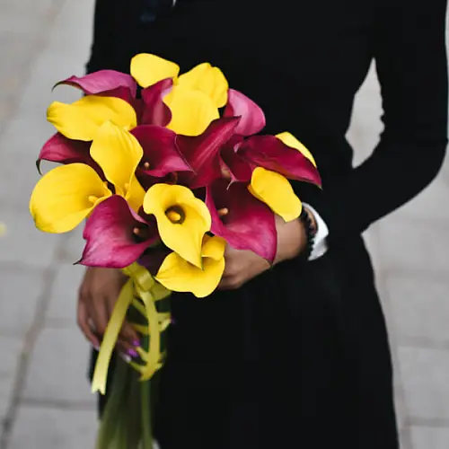 21 Калла микс