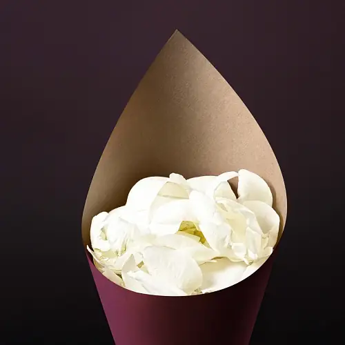 Лепестки роз белые