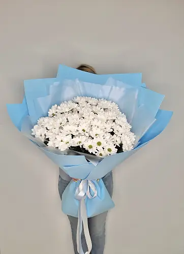 Букет Гигант из хризантем Bacardi