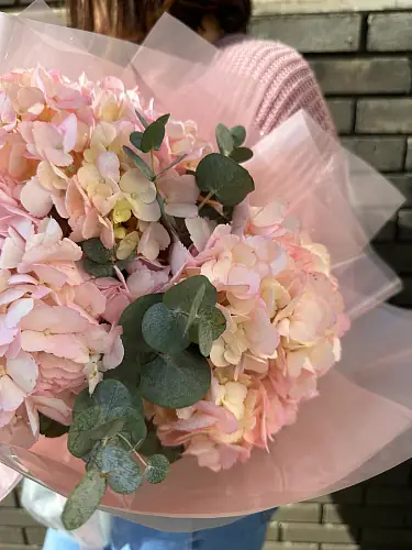 На фото №3 Букет живых цветов из розовых гортензий с эвкалиптом в дизайнерской упаковке