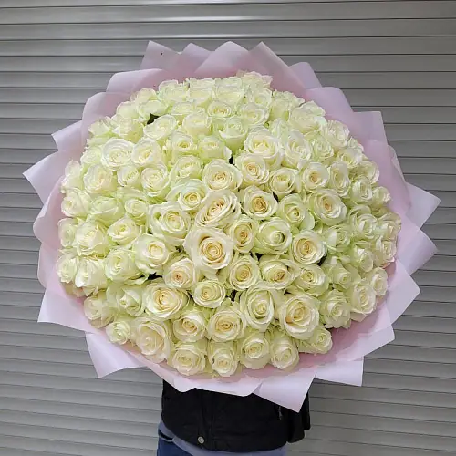 На фото №2 101 шикарная Белая роза