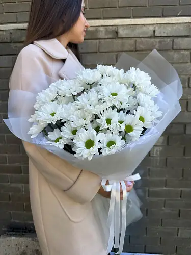 На фото №4 7 Кустовых Хризантем в упаковке