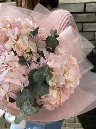 На фото №3 Розовые гортензии с Зеленью