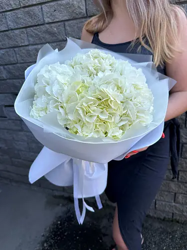 На фото №2 Букет живых цветов из 5 белых гортензий оформленный в дизайнерскую упаковку