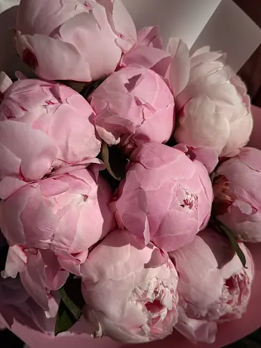 На фото №6 Букет из 9 пионов