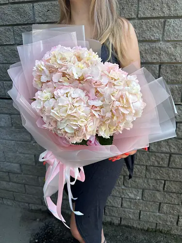Букет живых цветов из 3 Розовых гортензий